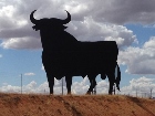 Avatar utente